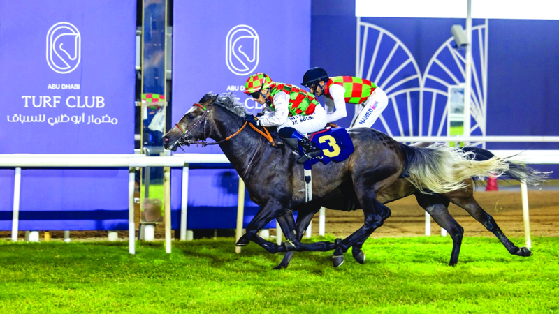 94 خيلاً في الأمسية الثالثة لسباقات الخيل بمضمار أبوظبي 1762579285 image