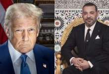 1744191495 711 الرجاء يلعب آخر أوراقه في الديربي
