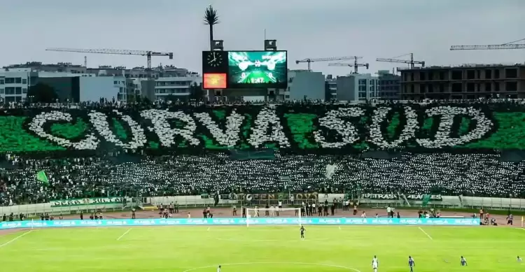 الكورفا سود.webp